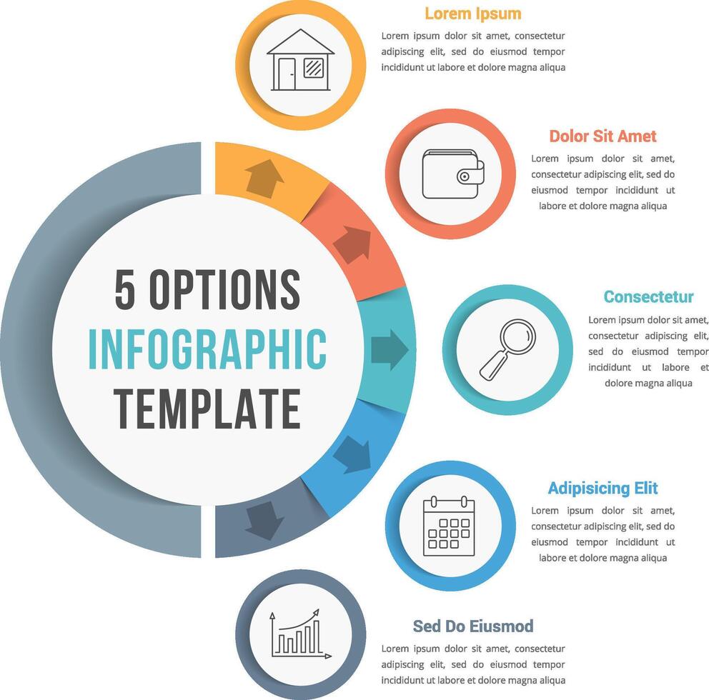 5 Options infographic template with line icons for prsentations, reports, brochures etc, can be used as steps, workflow, process vector