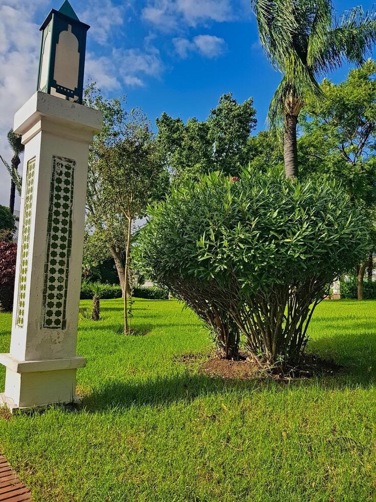 A wonderful natural scene where Oleander intertwines with decorative columns tiles in harmoniously photo