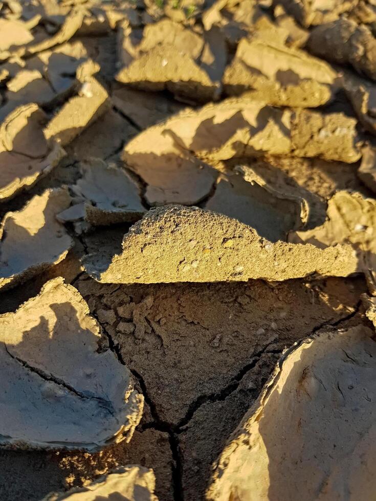 A close perspective of the cracked soil texture, Intricate and visually captivating details of cracked, dehydrated soil caused by severe drought and constant exposure to the sun's relentless heat. photo