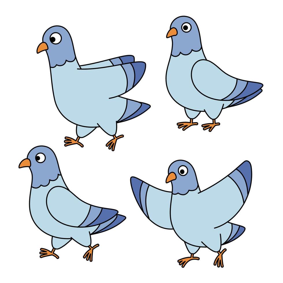 Set of funny cartoon style pigeons, bird characters vector