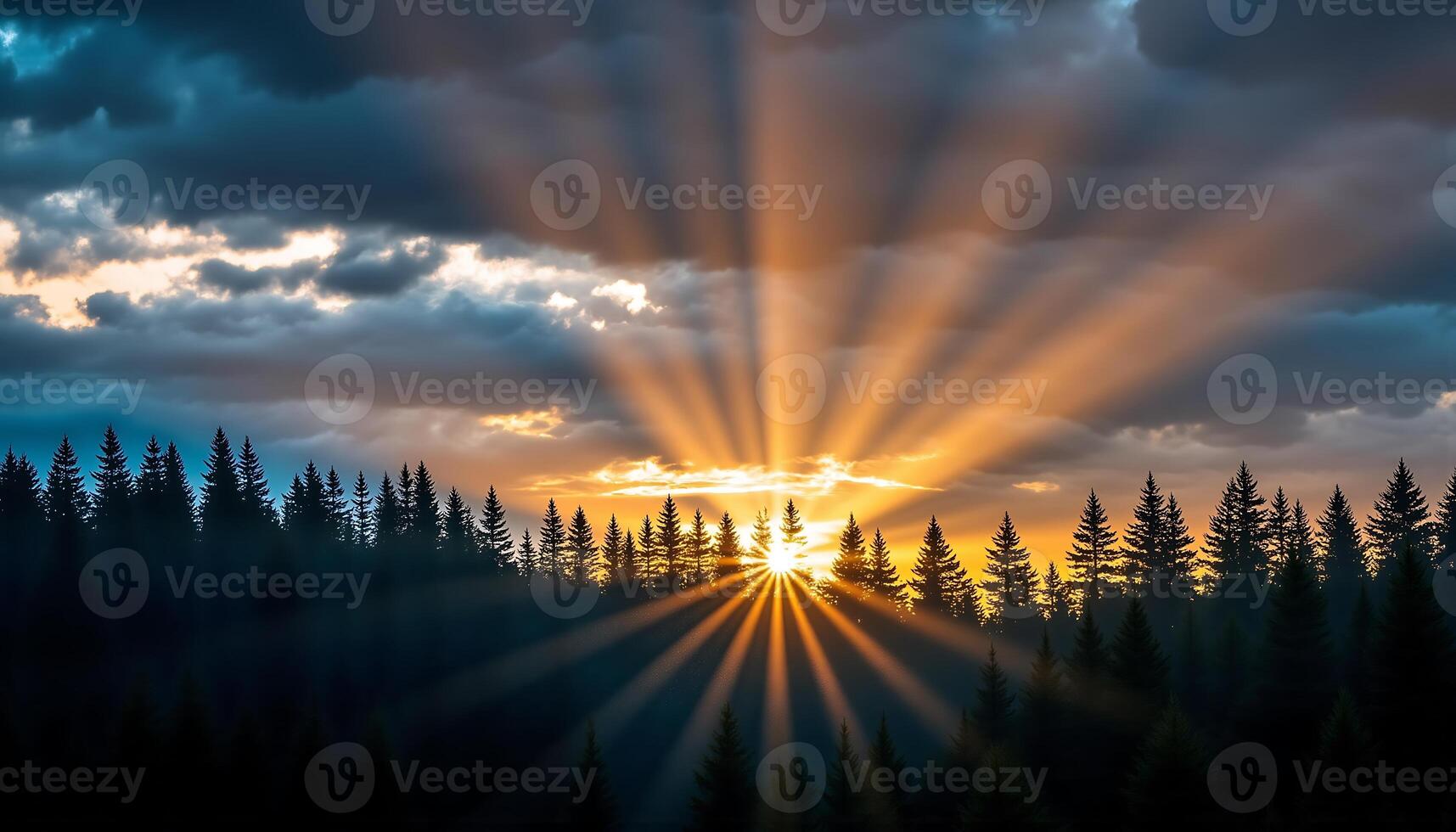 The sun is setting behind the trees, casting a warm glow over the forest photo