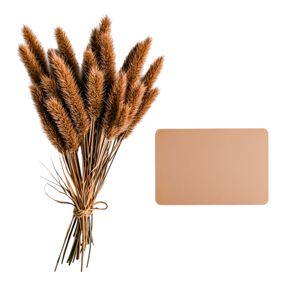 Natural Dried Grasses Bundle with Blank Card for Customization png