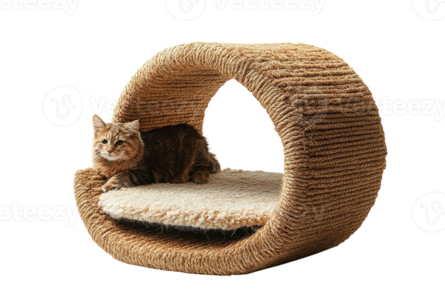 Stylish cat lounging on a modern woven cat bed in a minimalist indoor setting png