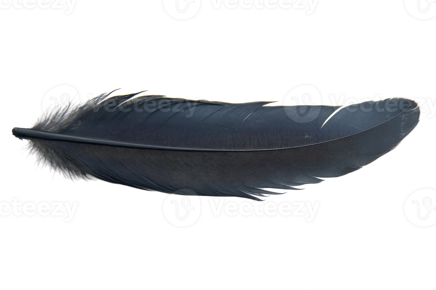 Elegant black feather resting on a surface, showcasing its smooth texture and intricate details in natural light png