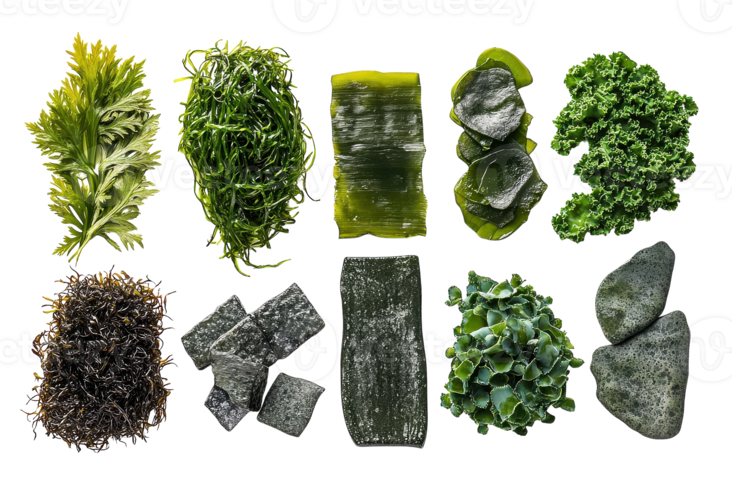 Various types of edible seaweed and greens arranged on a white surface png