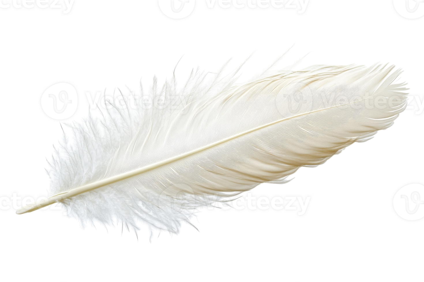 Delicate white feather resting on a smooth surface in soft natural light png