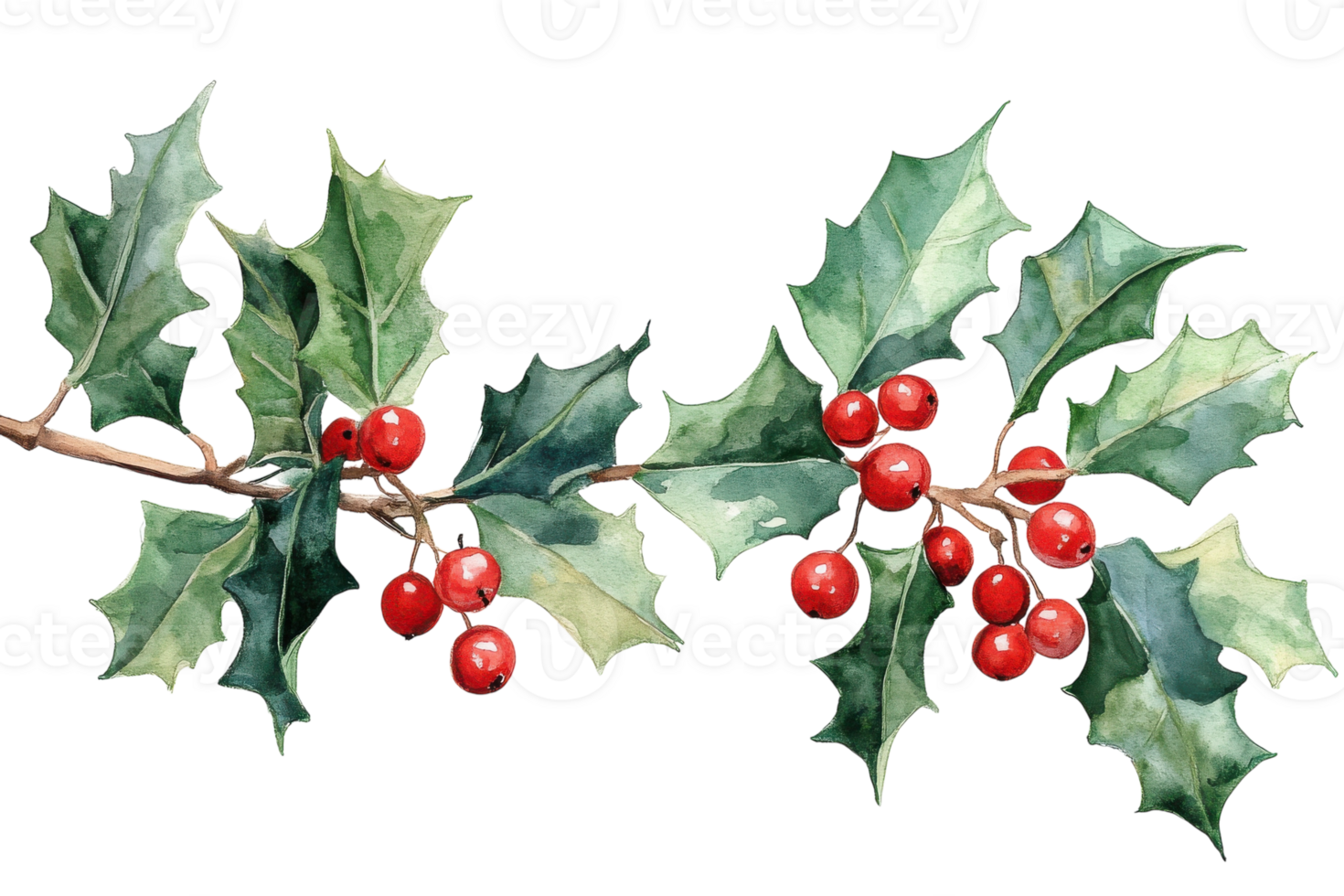 Holly branches with vibrant red berries and glossy green leaves create a festive atmosphere during winter png