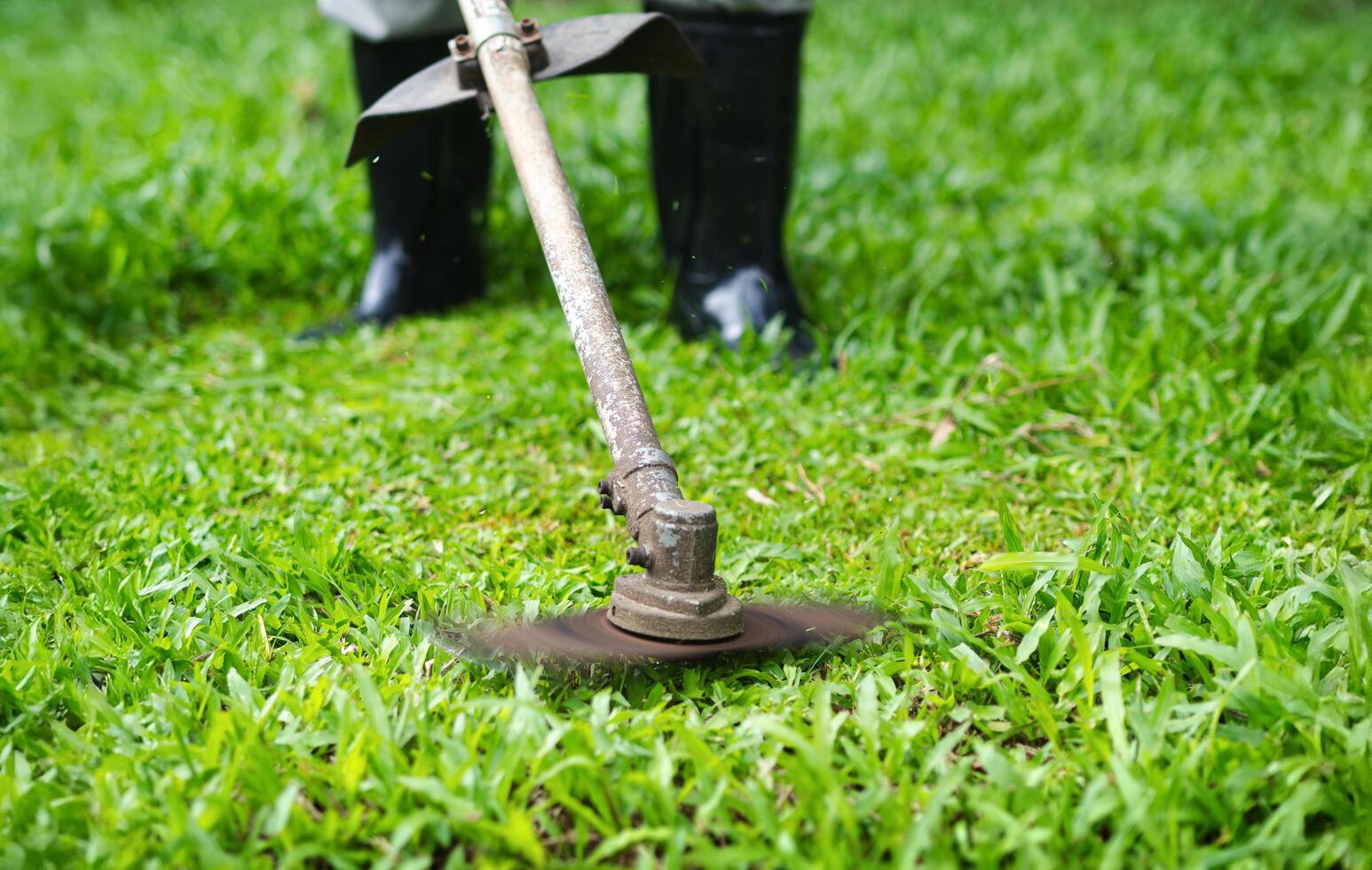the man mowing tall grass with electric or petrol lawn trimmer in the backyard. photo