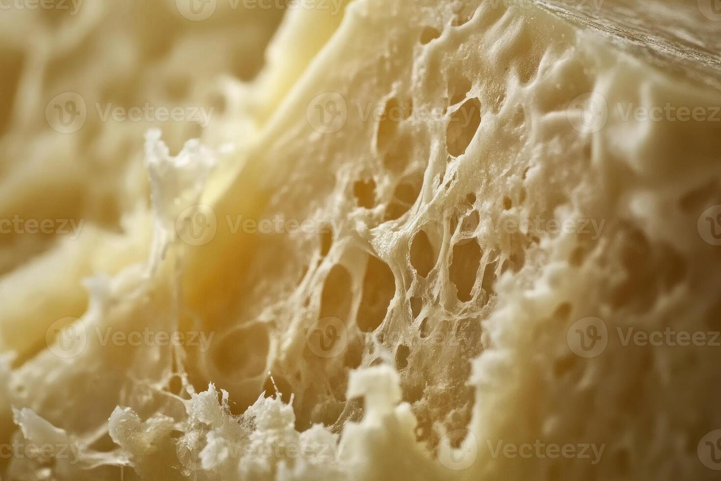 Close-up Macro of a Delicate White and Yellow Sponge-like Surface photo