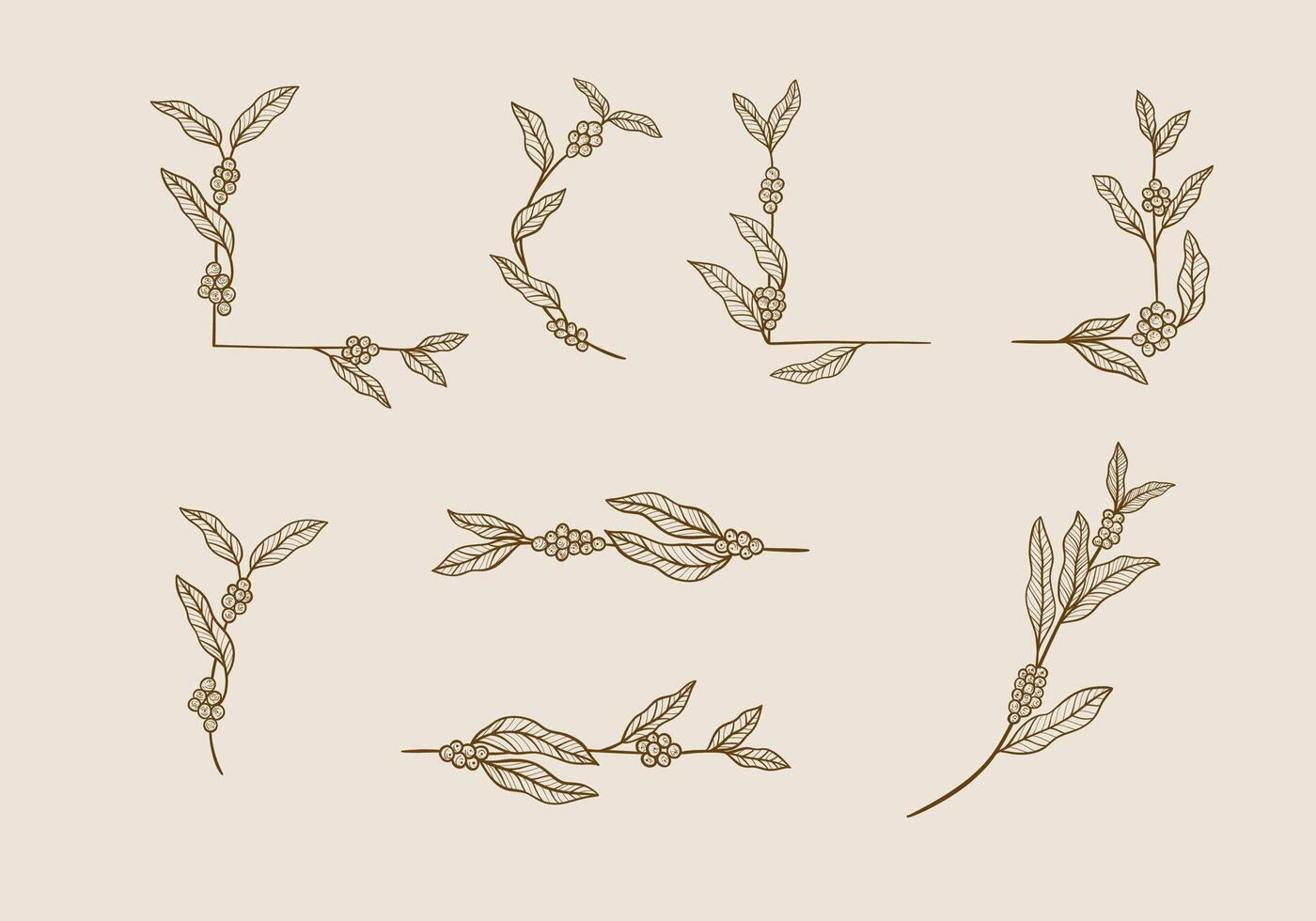 Set collection of Coffee plant leaf branch hand drawn decoration vector