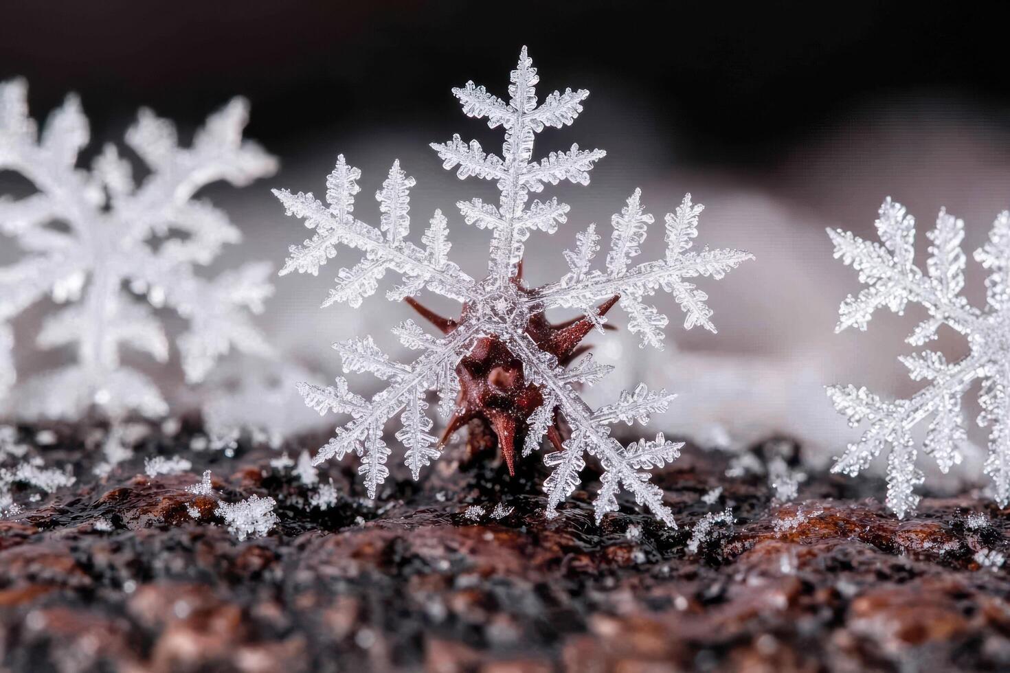 Intricate snowflake crystal on winter surface photo