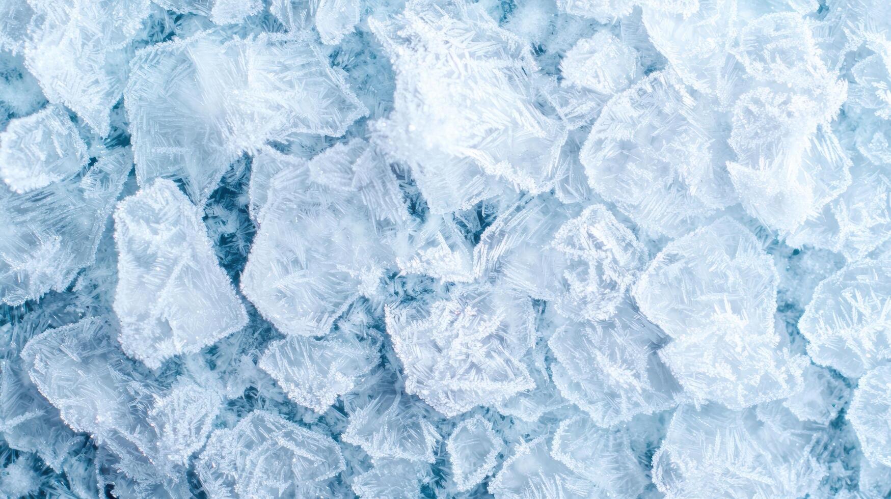 Intricate ice crystal patterns photo