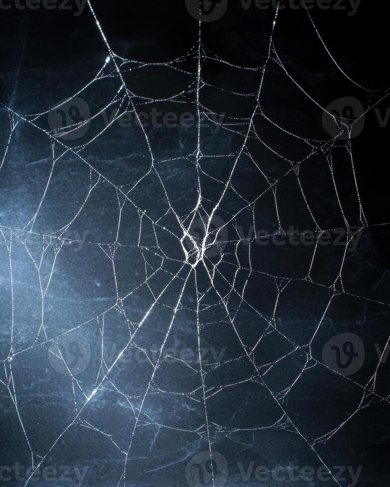 Intricate spider web in the dark photo