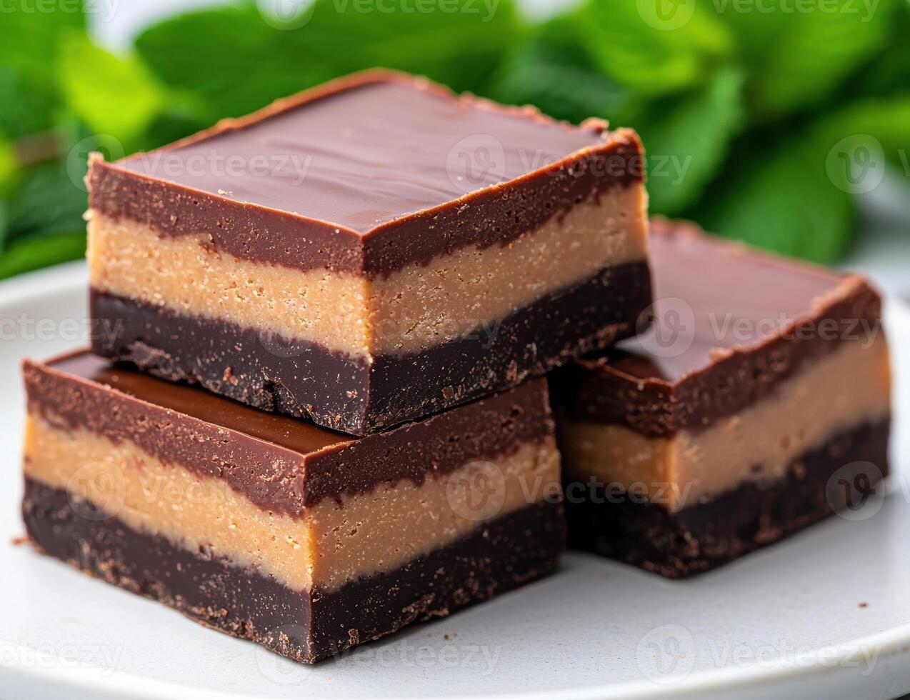 Delicious chocolate peanut butter bars on a plate photo