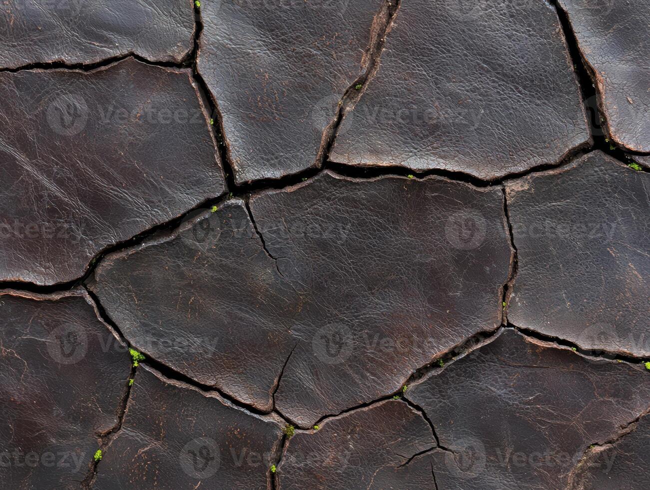 Cracked dry earth texture background photo