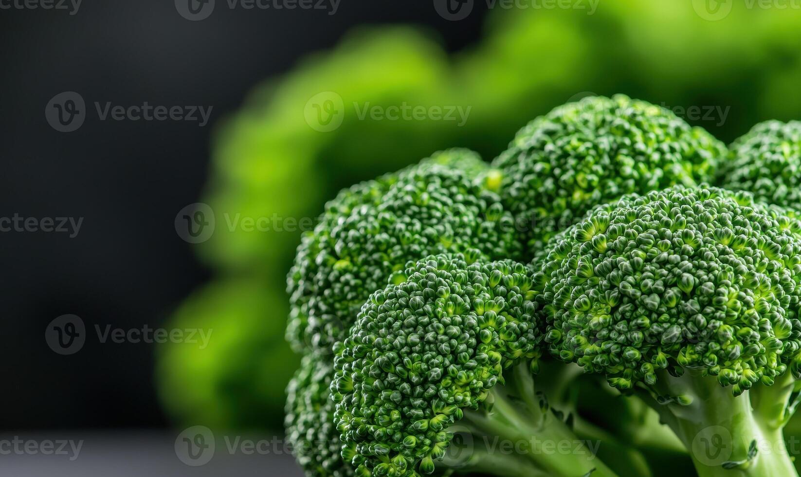 Close up of fresh green broccoli florets photo