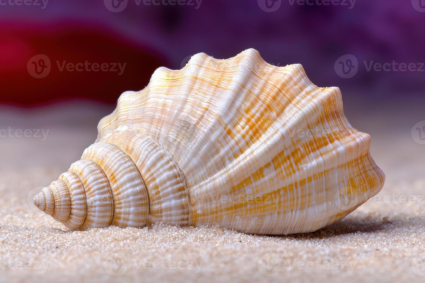 Vibrant seashell on sandy beach photo