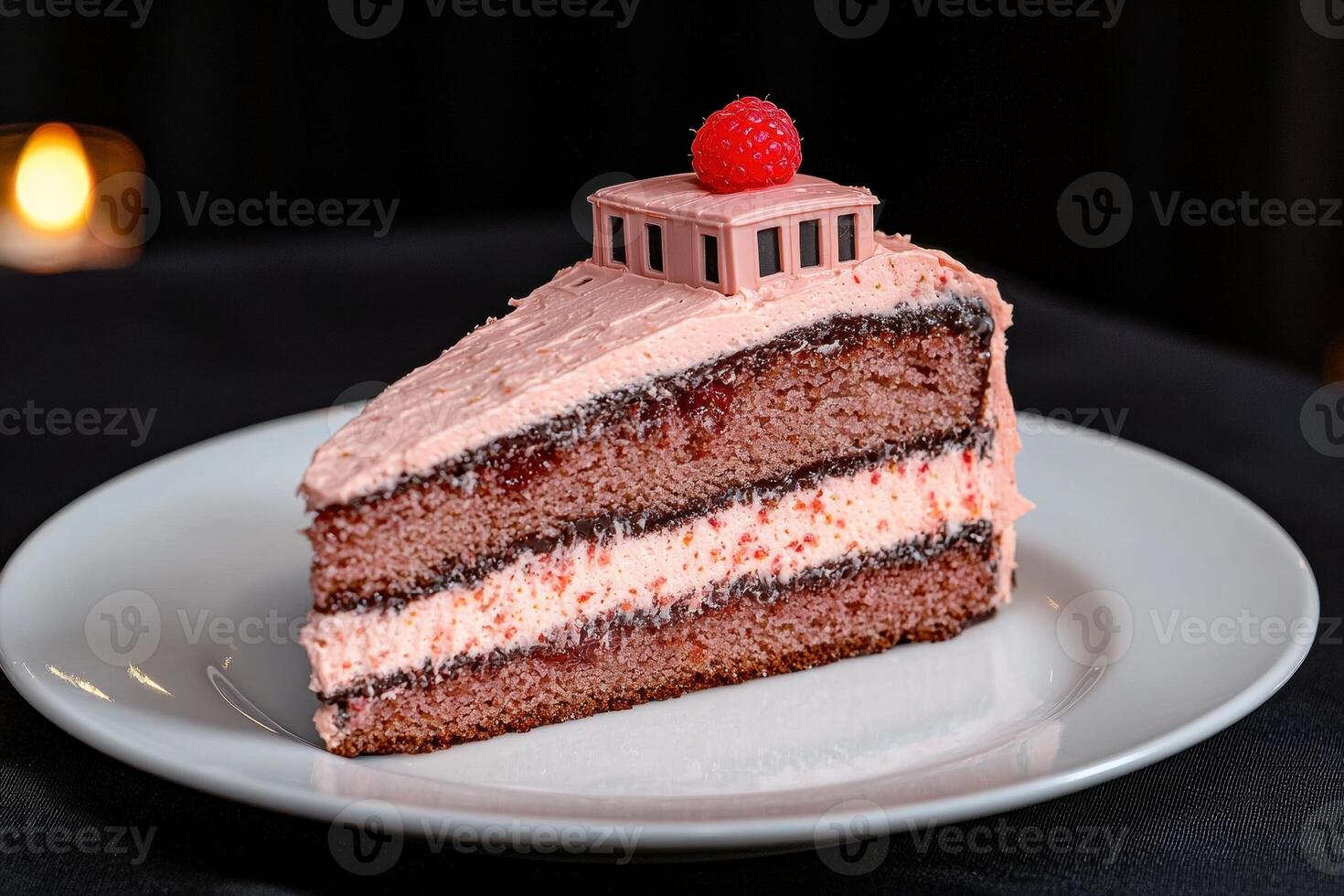 Delicious chocolate cake with raspberry topping photo
