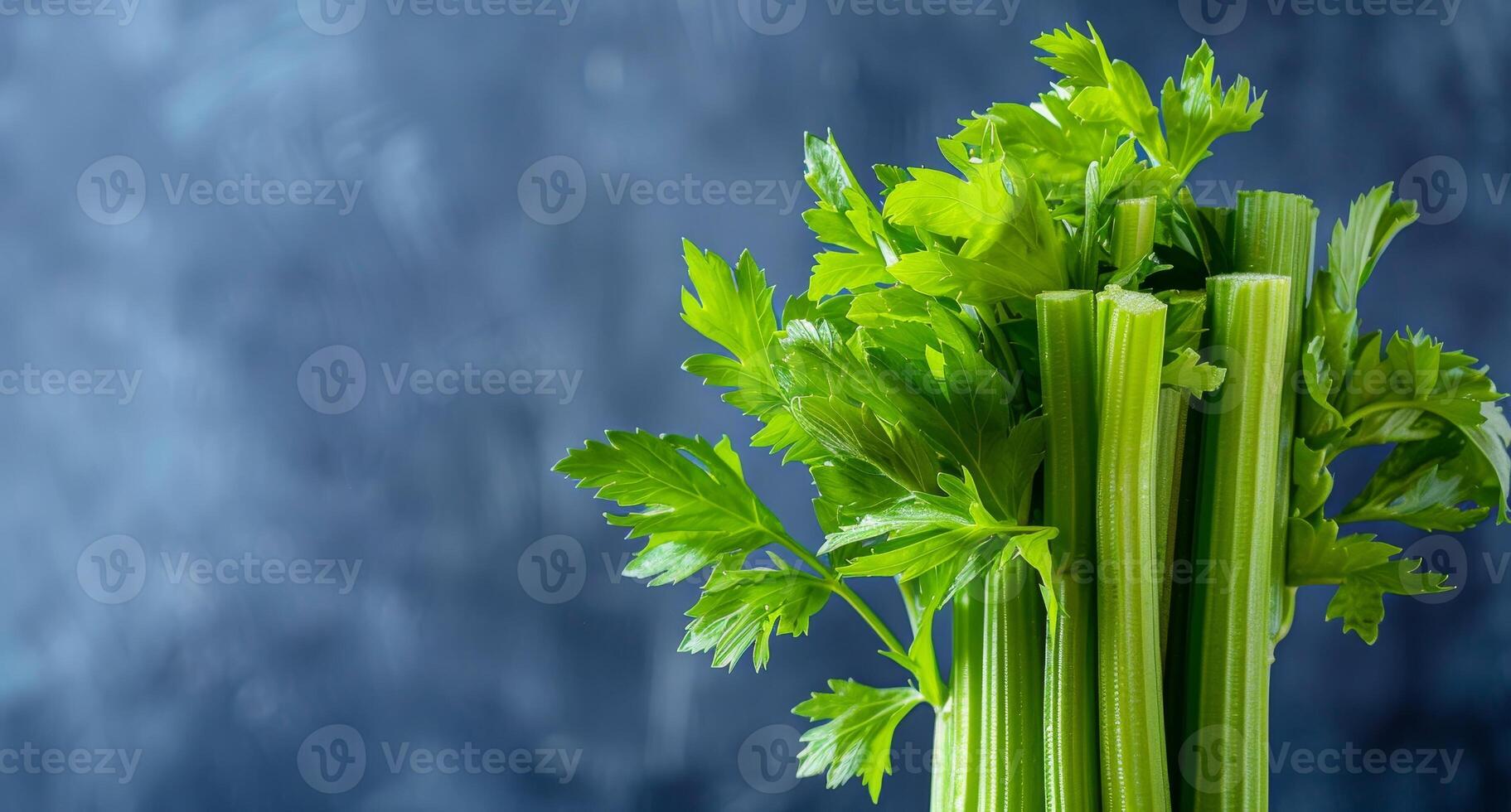 Fresh green celery stalks against a stormy sky photo