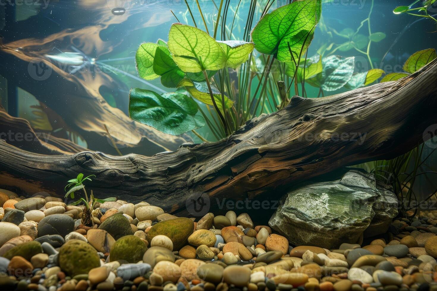 Underwater nature scene with lush greenery and pebbles photo
