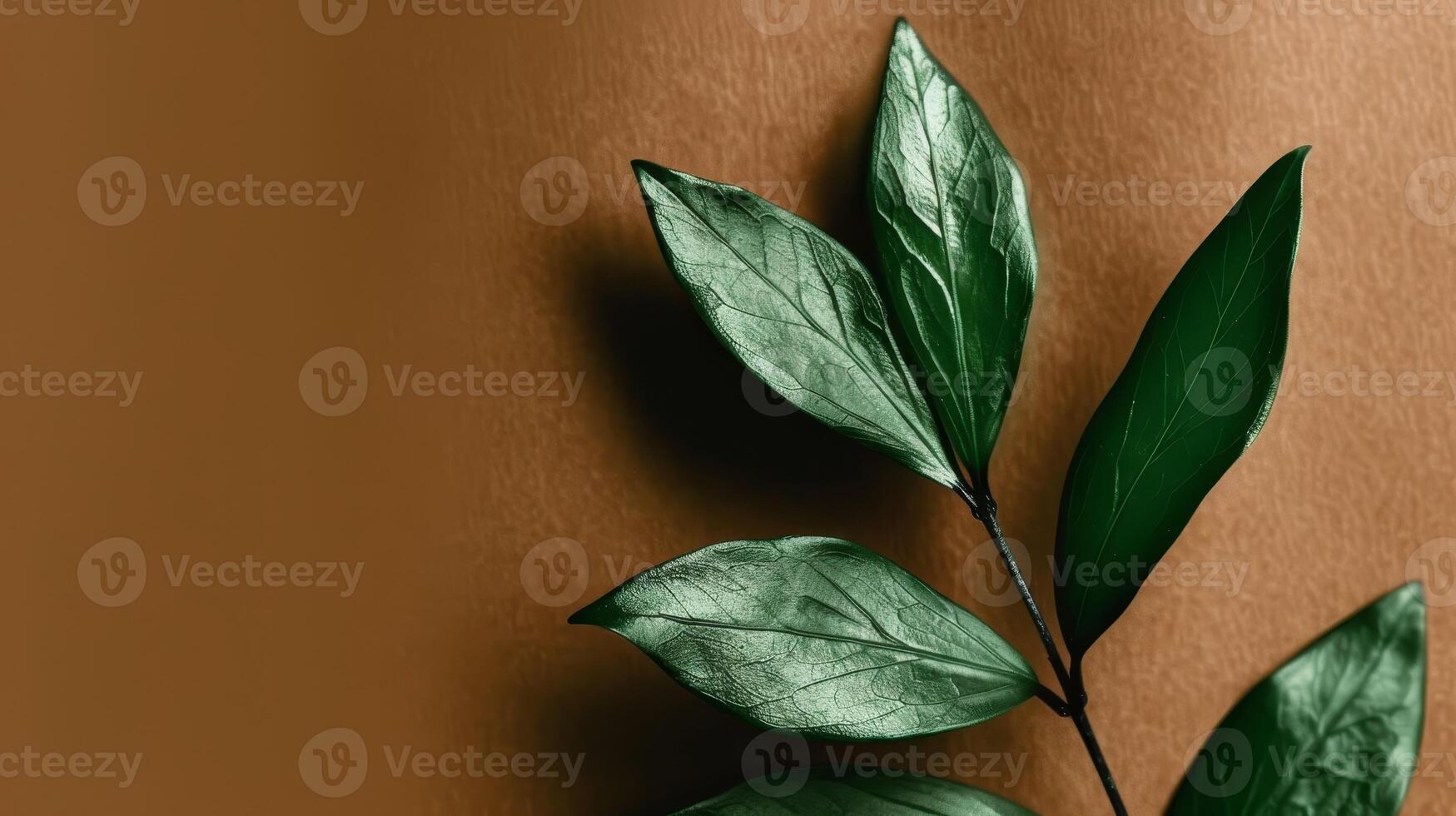 close up of green leaves against a warm brown background photo