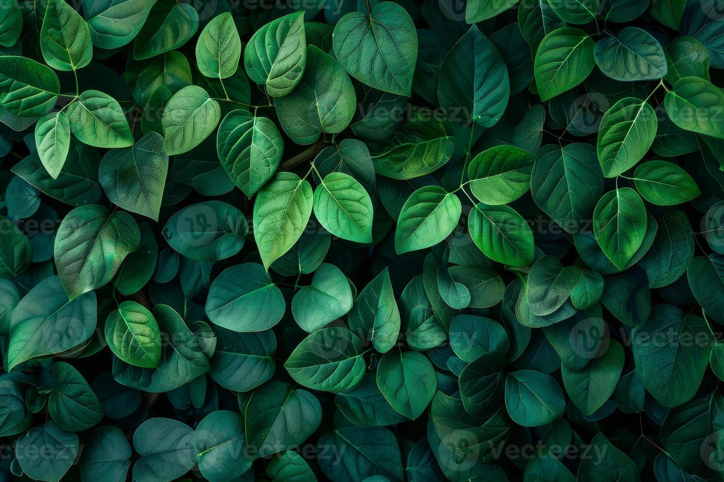 lush green foliage background photo