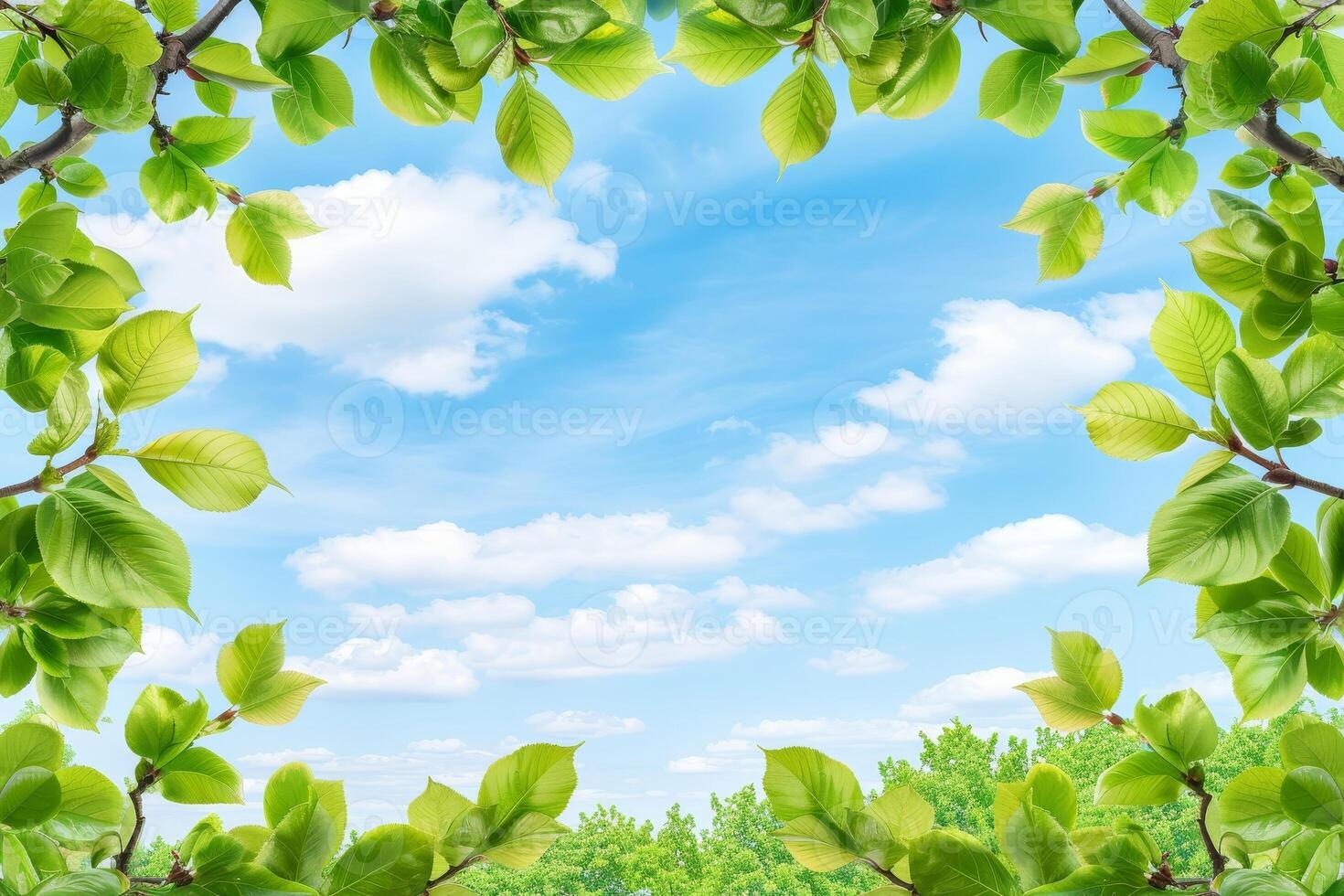 Vibrant green leaves framing a scenic blue sky photo