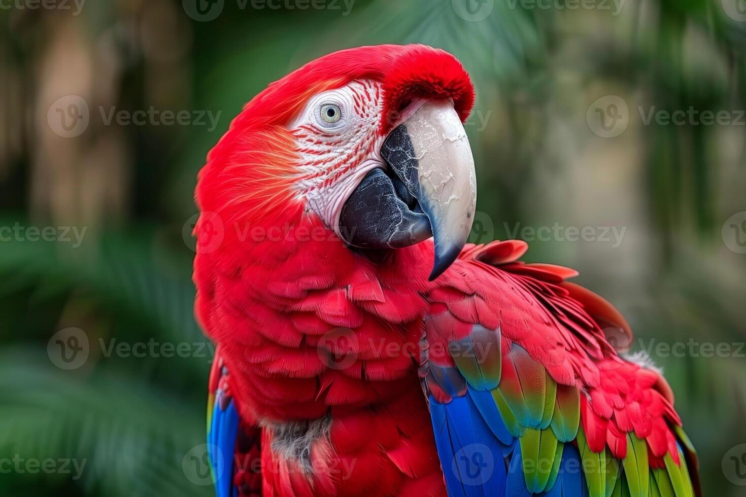 Vibrant red parrot with striking features photo