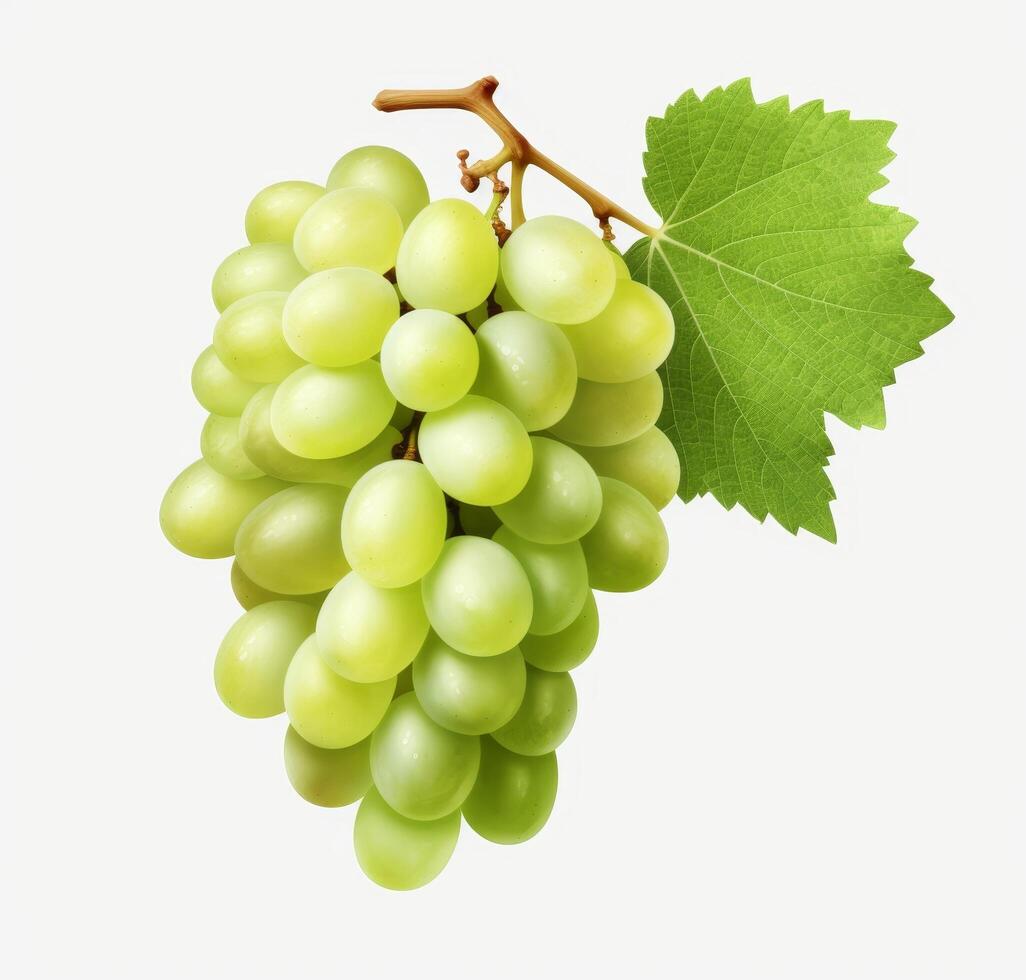 Fresh green grapes with leaf photo