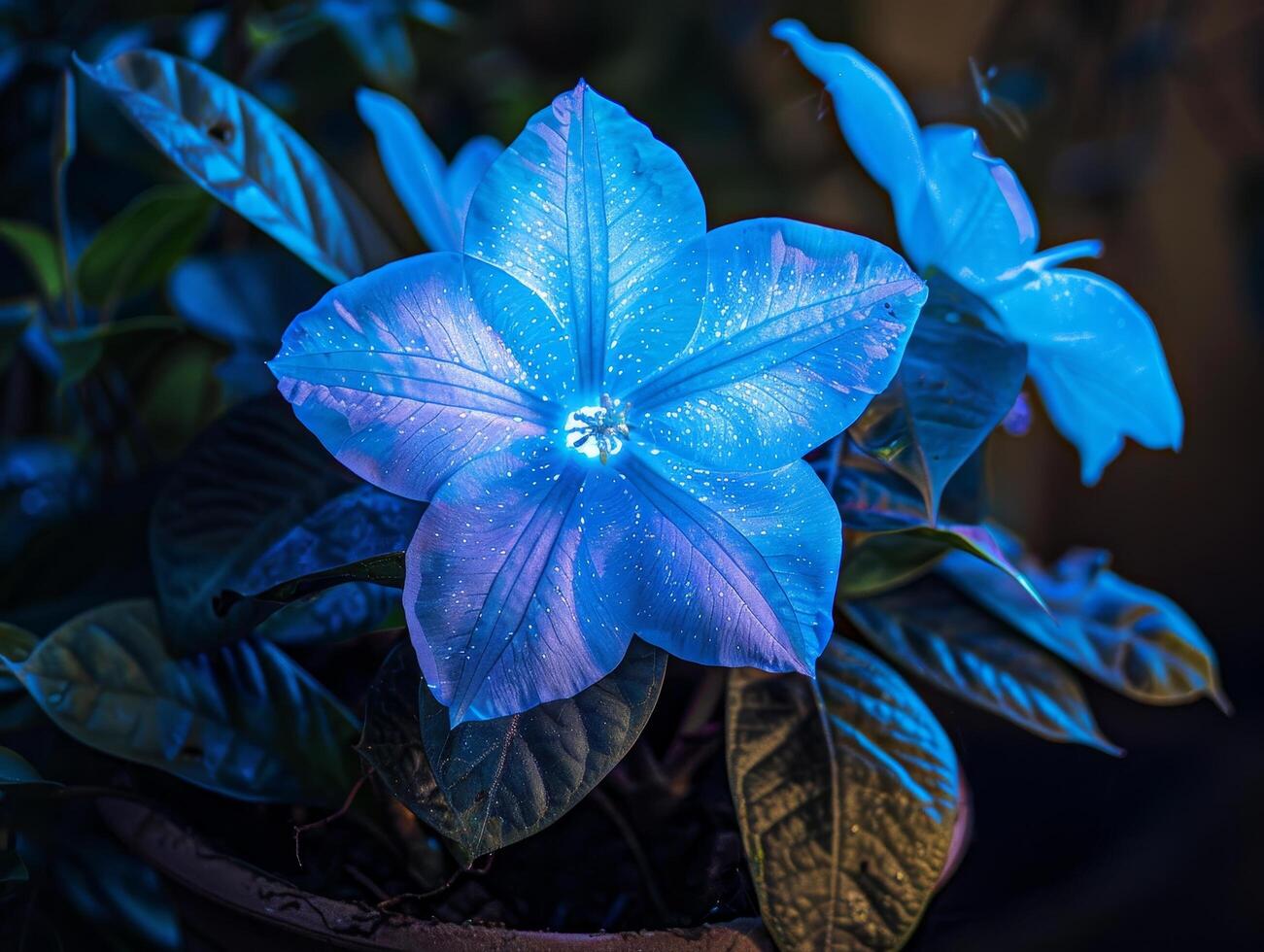 Vibrant blue flower in nature photo