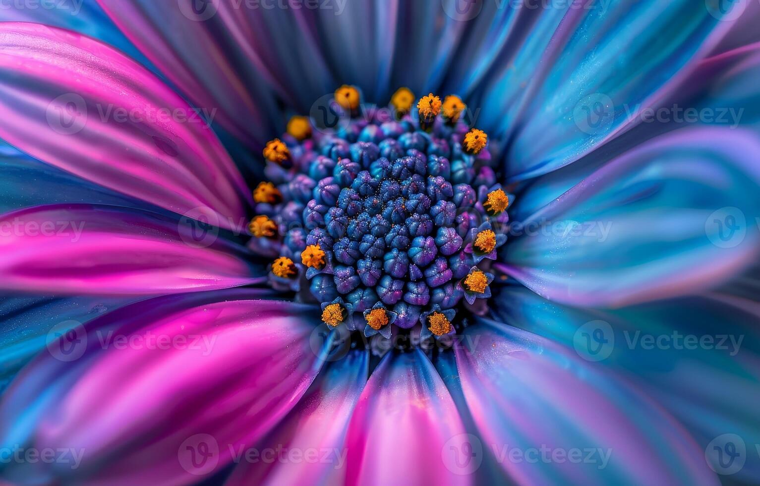 Vibrant Macro Shot of a Colorful Flower photo