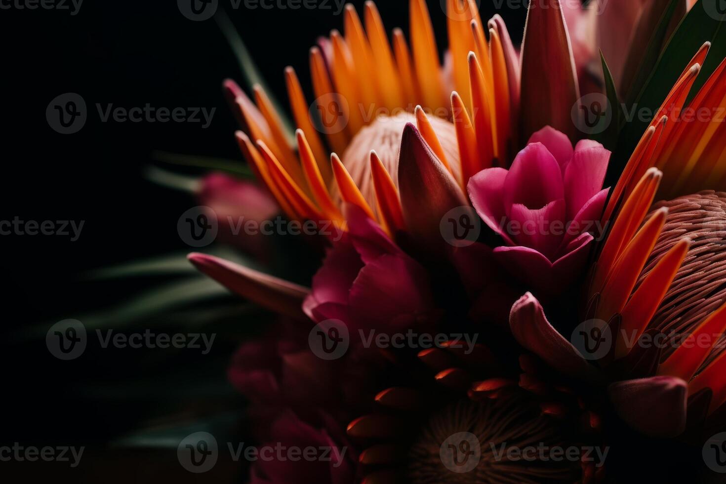 Vibrant Tropical Flowers in Dramatic Lighting photo