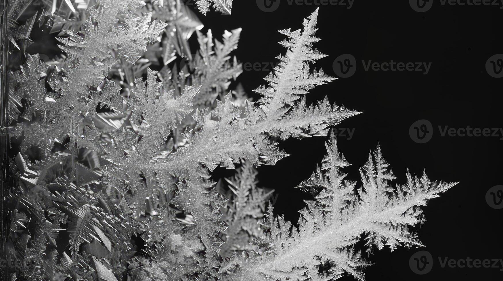 Intricate Frost Patterns on a Winter Window photo
