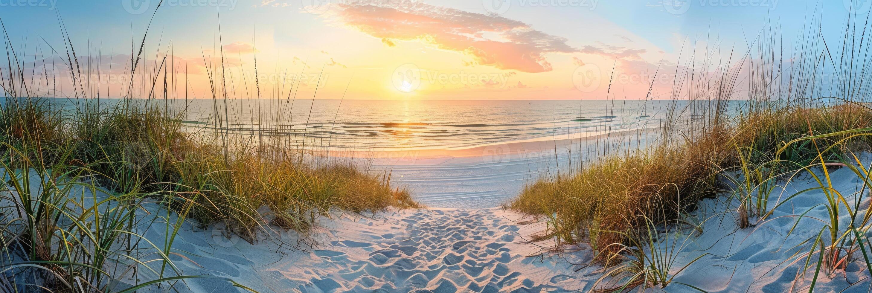 Serene Beach Sunrise with Sandy Path Through Dunes photo