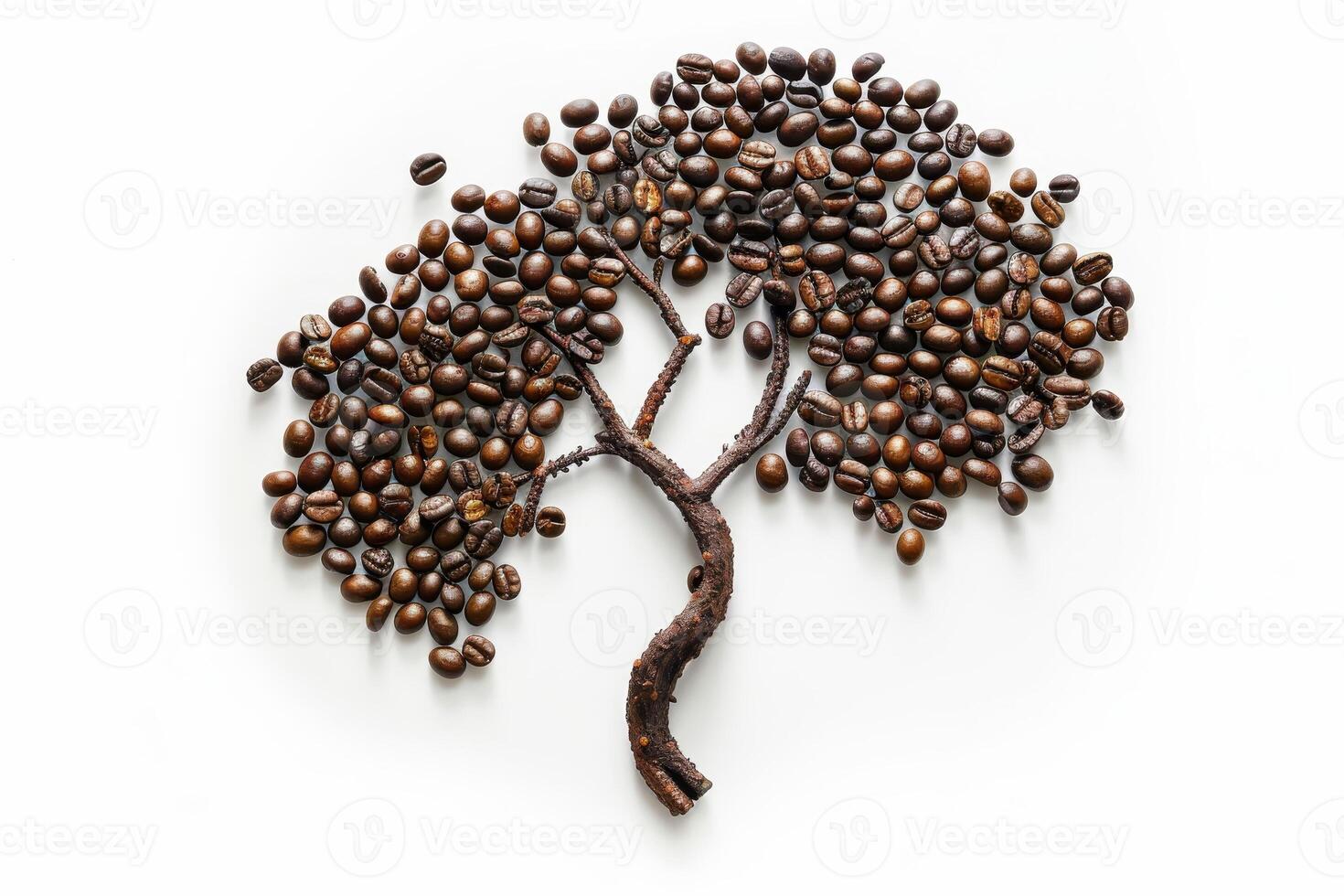 Coffee beans arranged in the shape of a tree on a white background photo