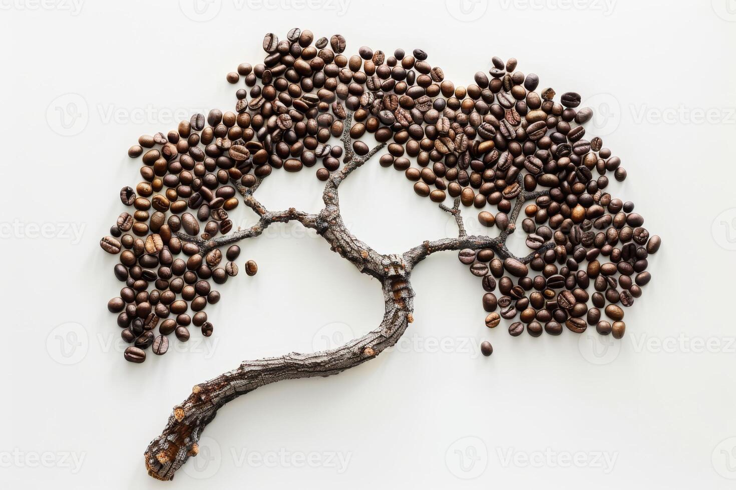 Creative coffee bean tree on a white background photo