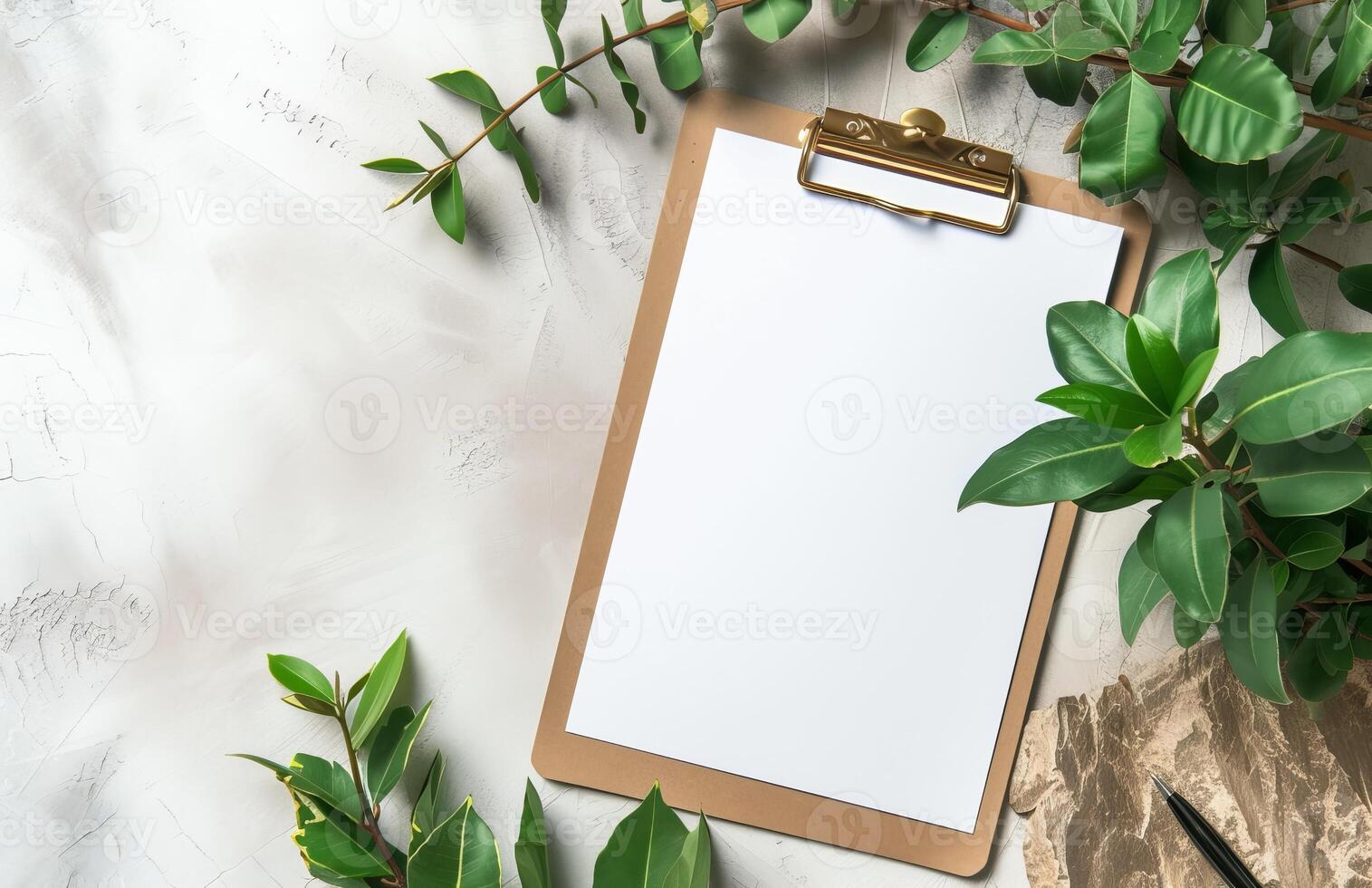 Blank clipboard with green leaves on a white textured background photo