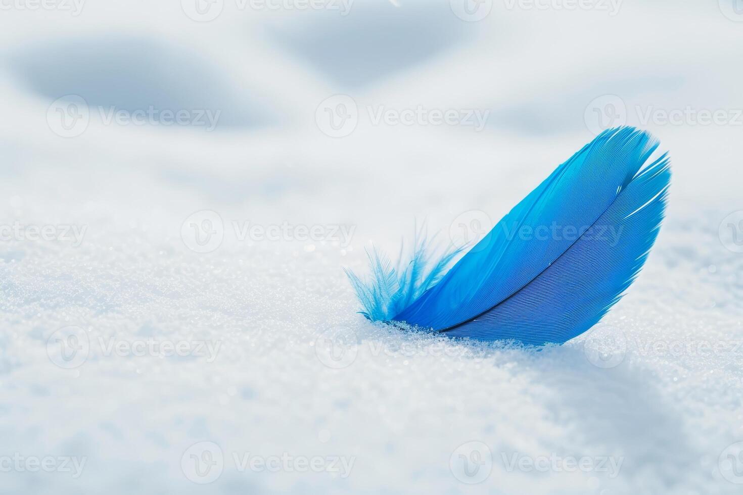 Vibrant blue feather resting on a snowy surface photo