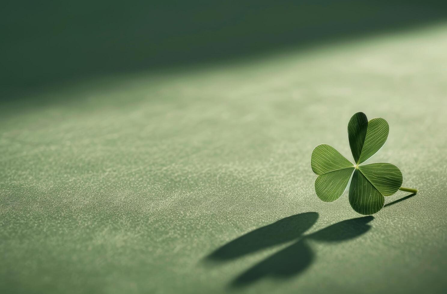 Single four leaf clover casting a shadow on a textured surface photo