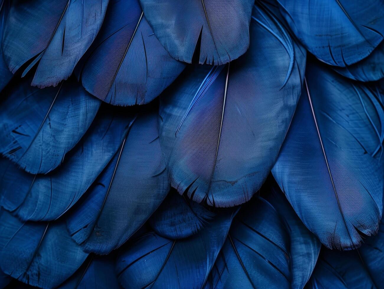 Close up of blue bird feathers with intricate details photo