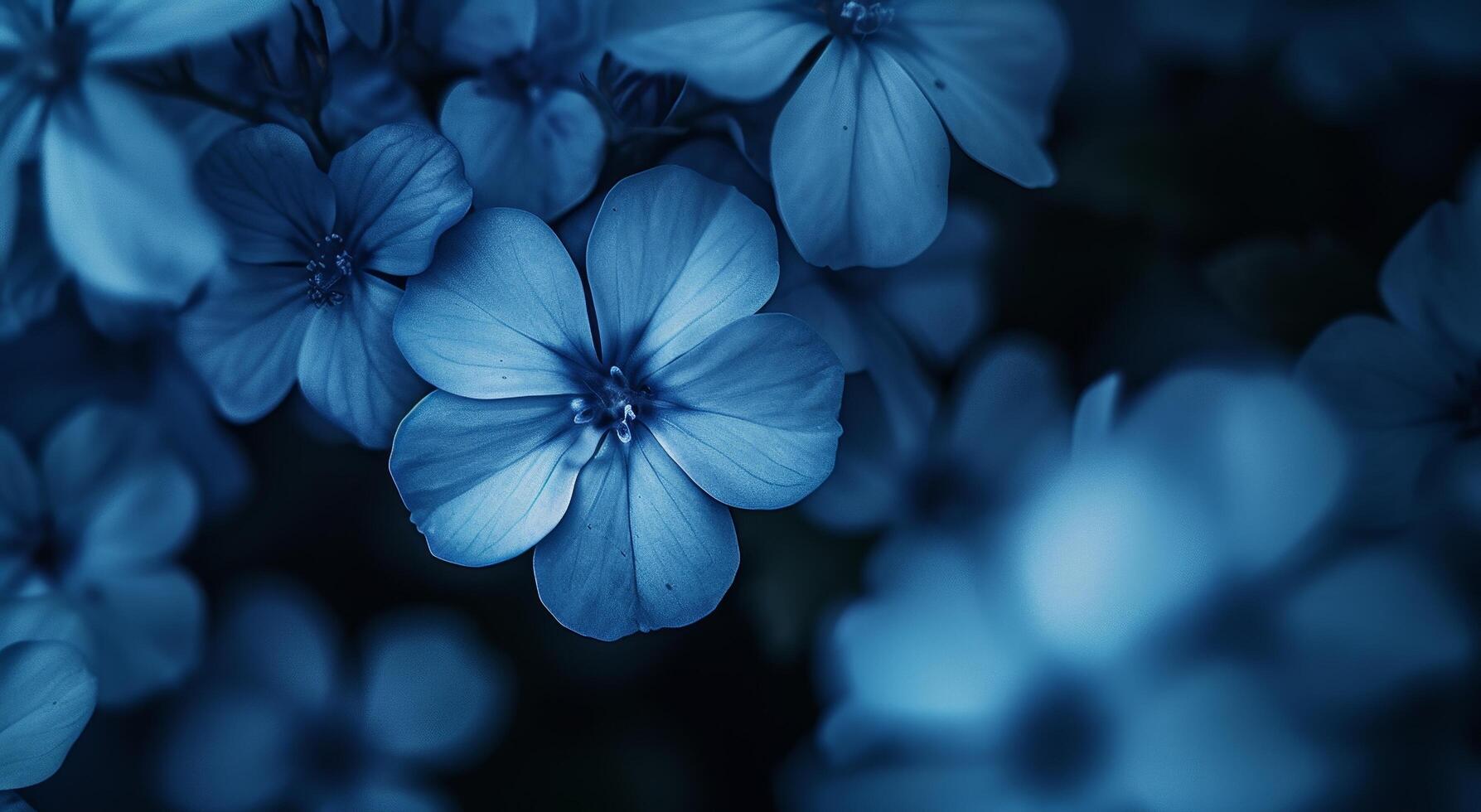Elegant blue flowers in a serene floral background photo
