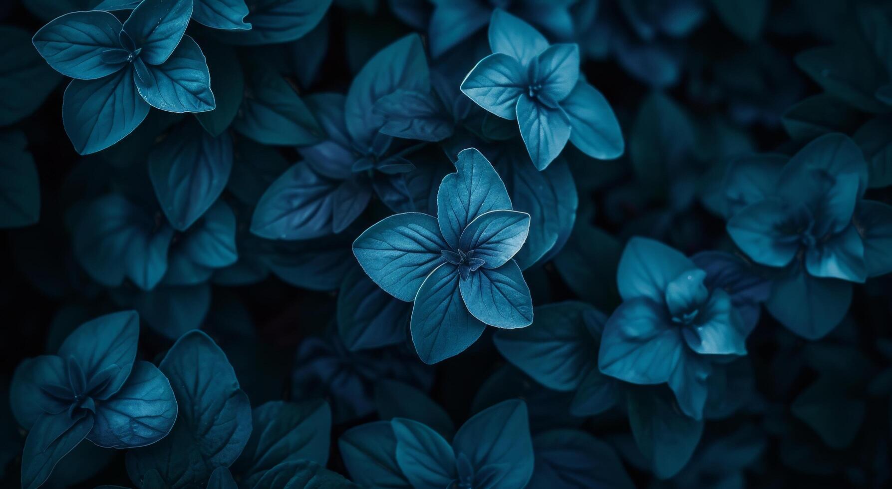 Moody Blue Floral Background photo