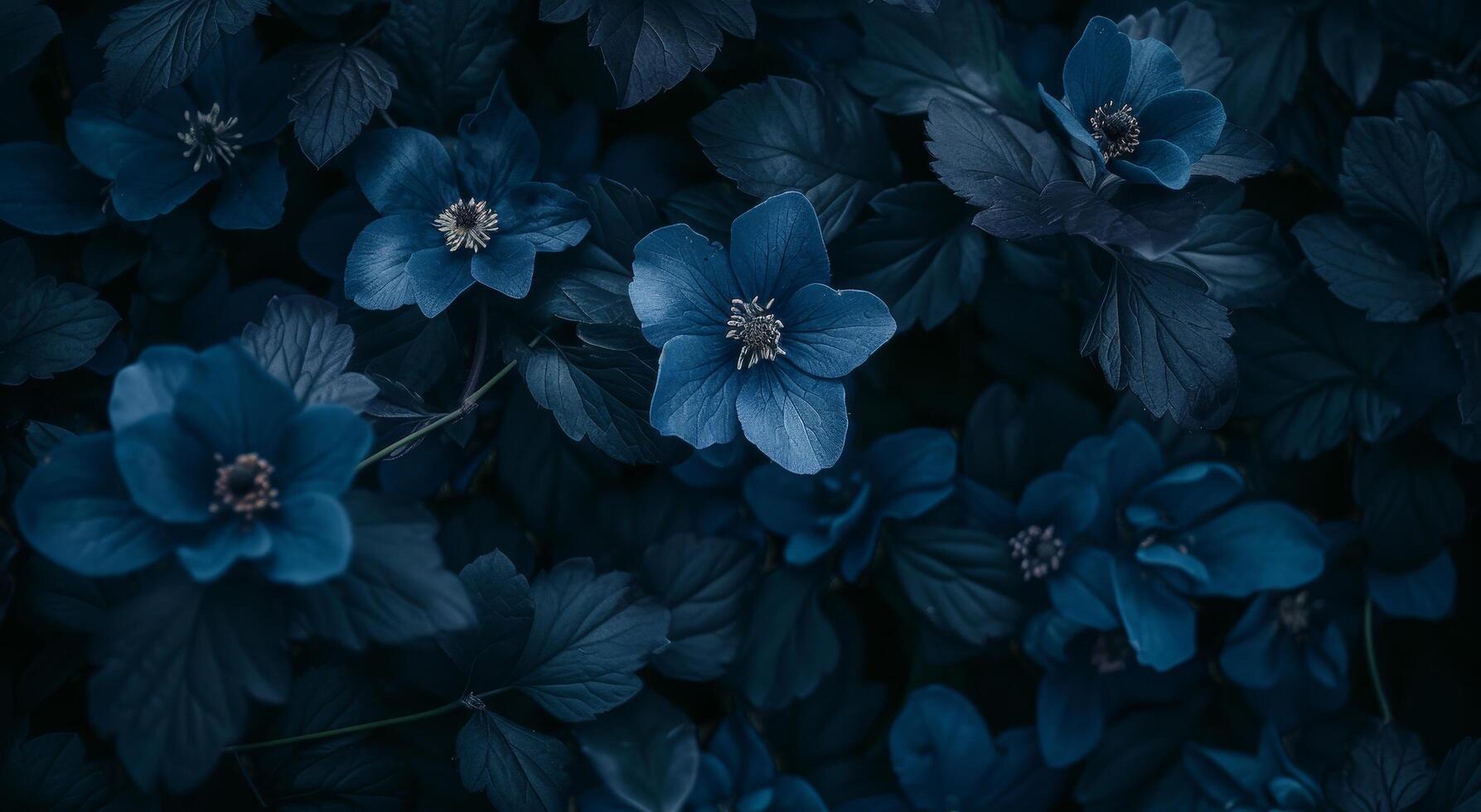 Elegant blue flowers in a serene dark floral arrangement photo