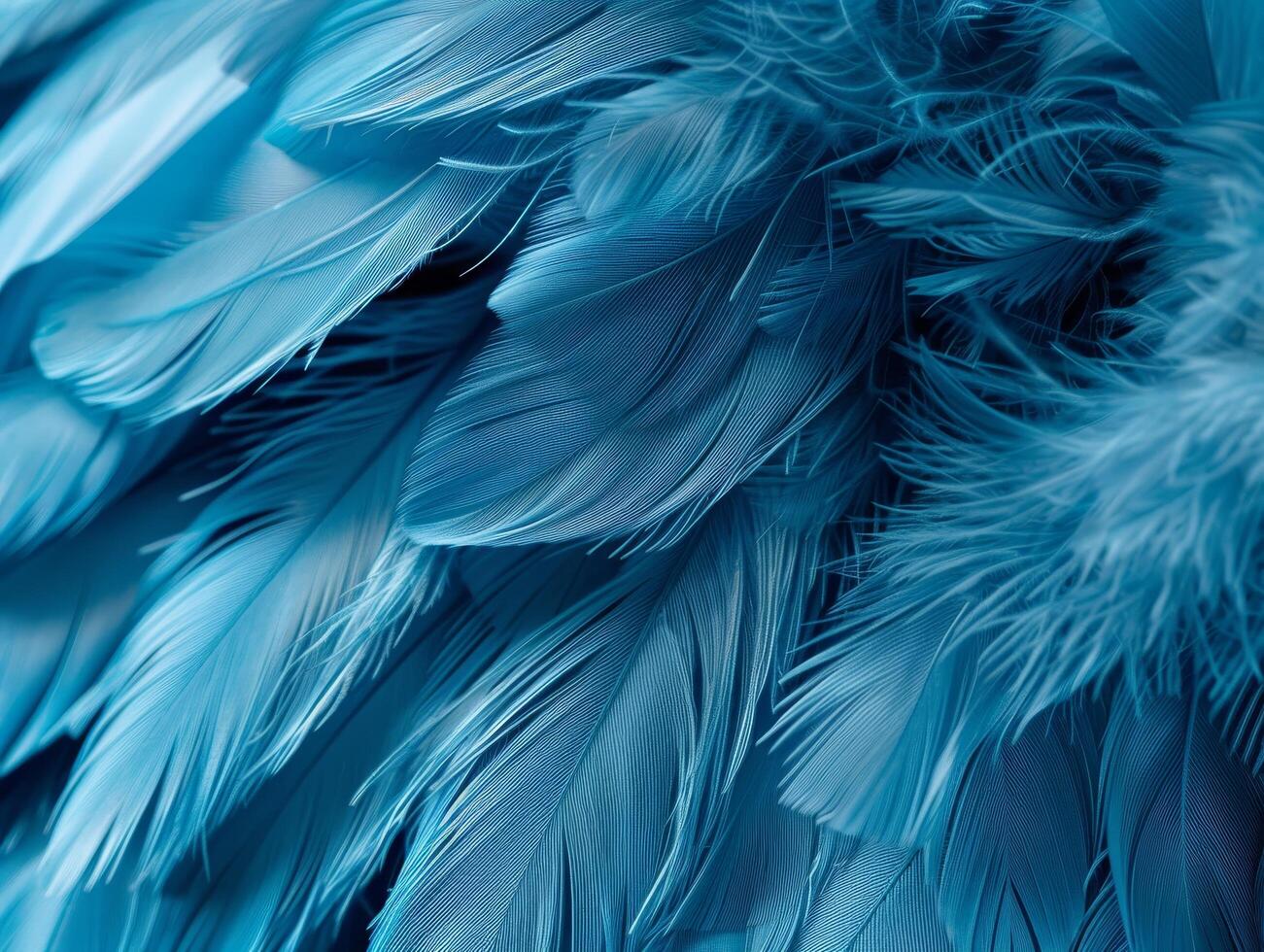 Close up of blue feathers with soft texture photo