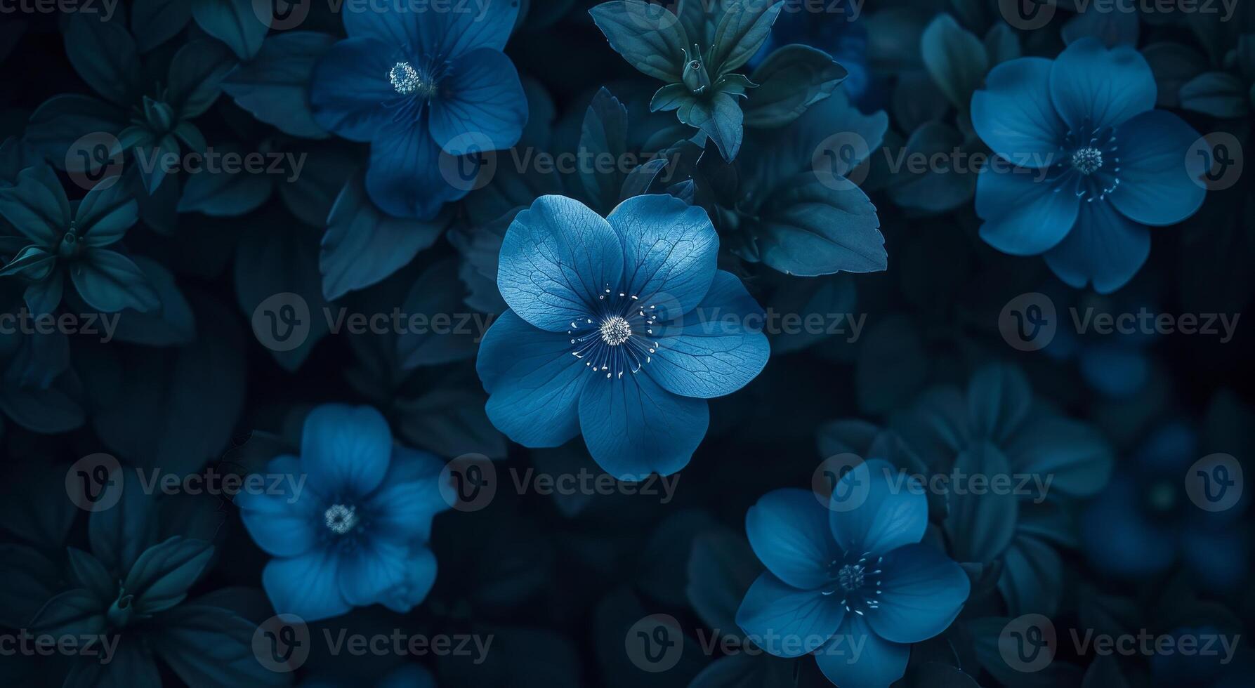 Ethereal Blue Flowers in Moody Lighting photo