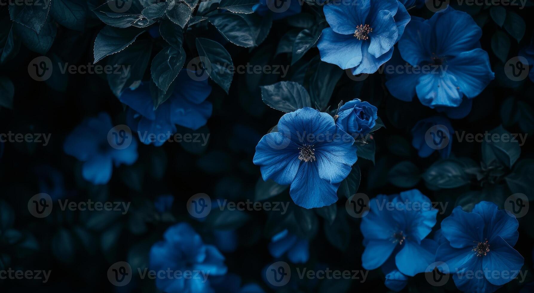 Elegant blue flowers in a dark moody garden photo