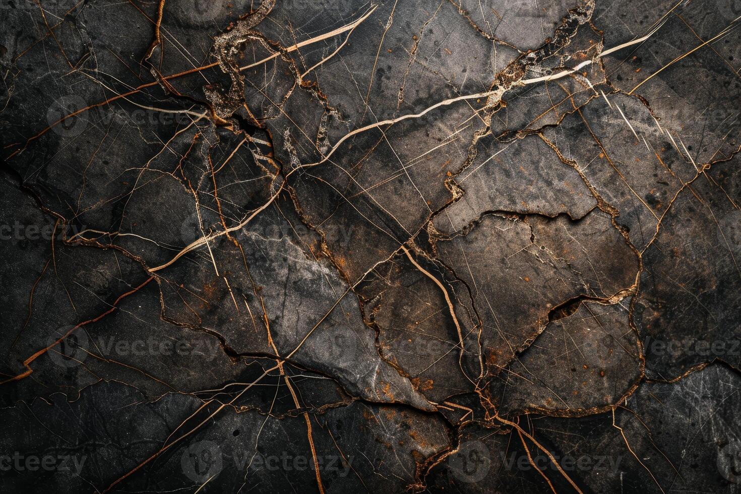 Intricate network of cracks and textures on a dark stone surface photo