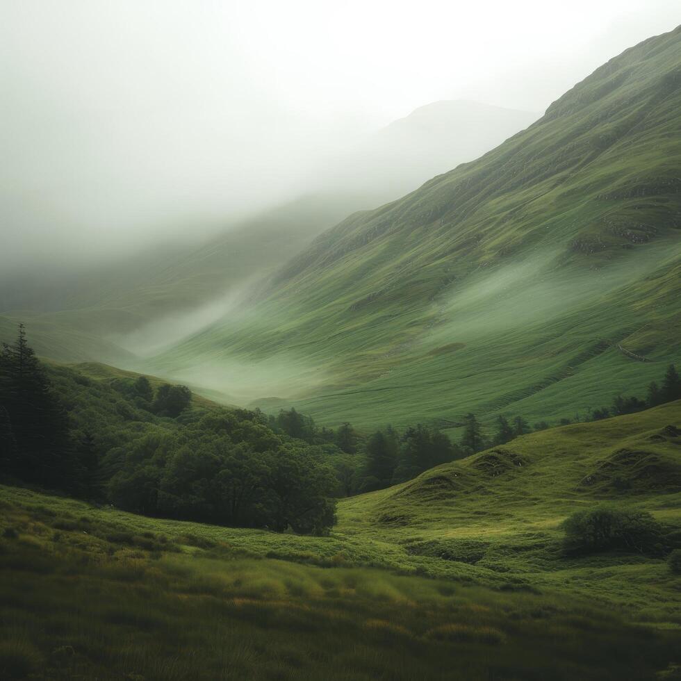 Misty Mountain Valley with Lush Greenery photo