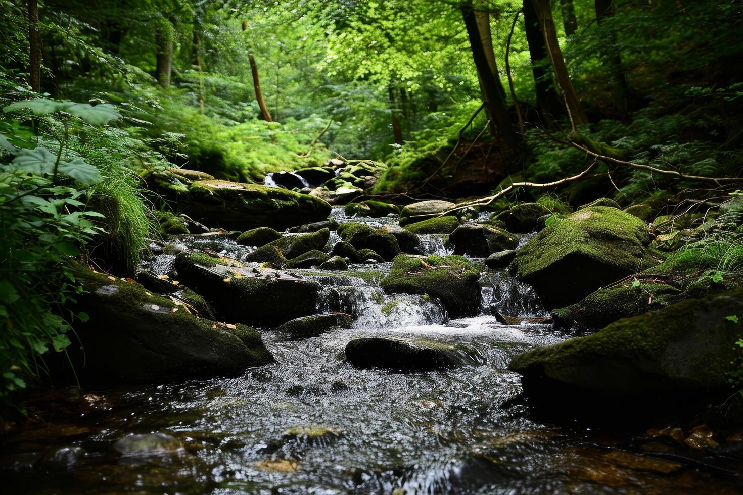 Serene Forest Stream Surrounded by Lush Greenery photo