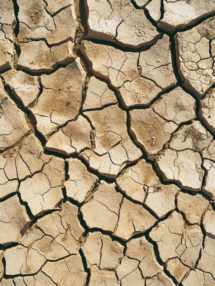Cracked dry earth representing drought and environmental issues photo